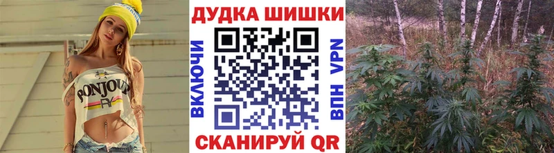 Конопля Сланцы