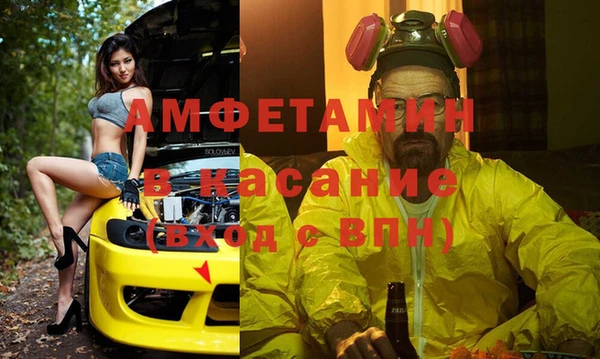 дурь Бородино