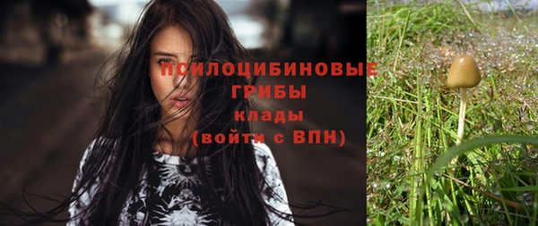 дурь Бородино