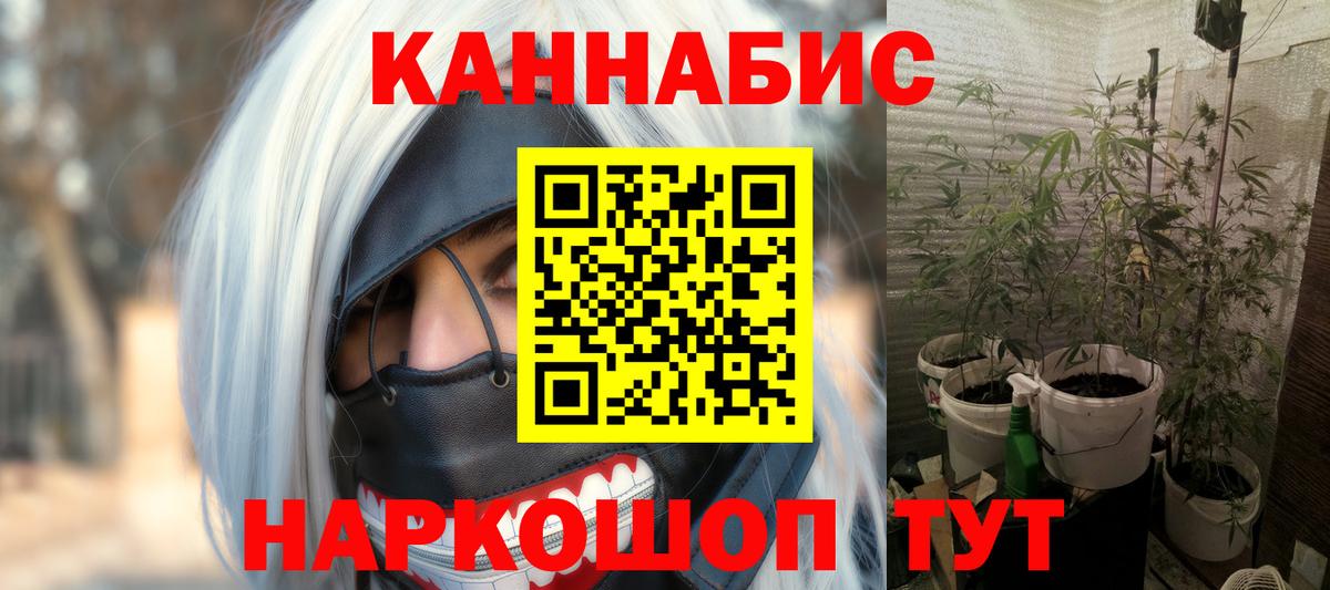 Бошки Шишки семена  Каннабис OG Kush  Сланцы  Конопля VHQ  Бошки Шишки планчик  Вход с VPN 